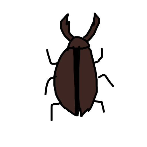 Scarab drawing by drewbenruben