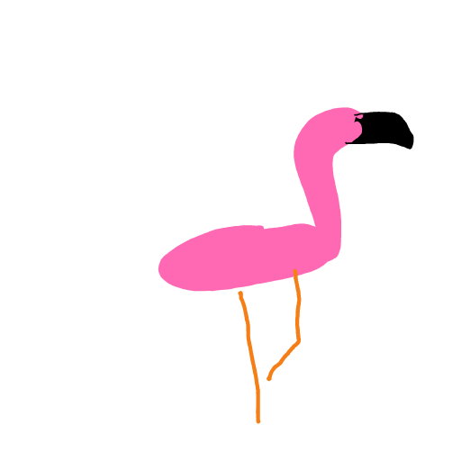 Flamingo drawing by Shandi
