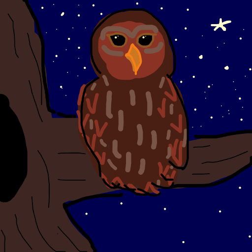Owl drawing by piratedgender