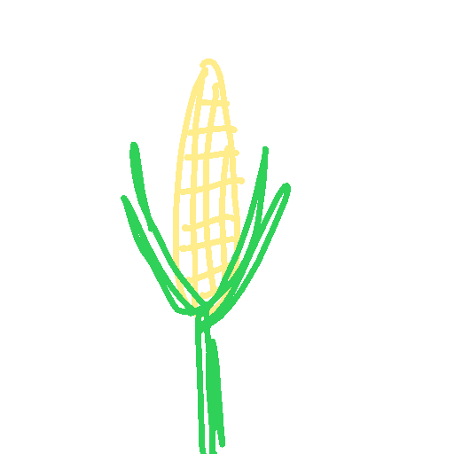 Corn drawing by amber-graph-hammer