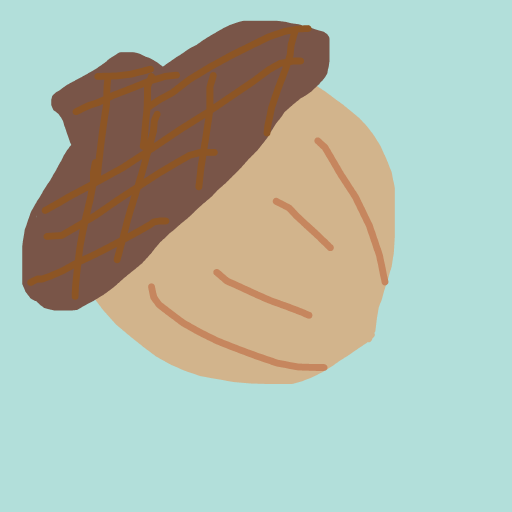 Acorn drawing by lin