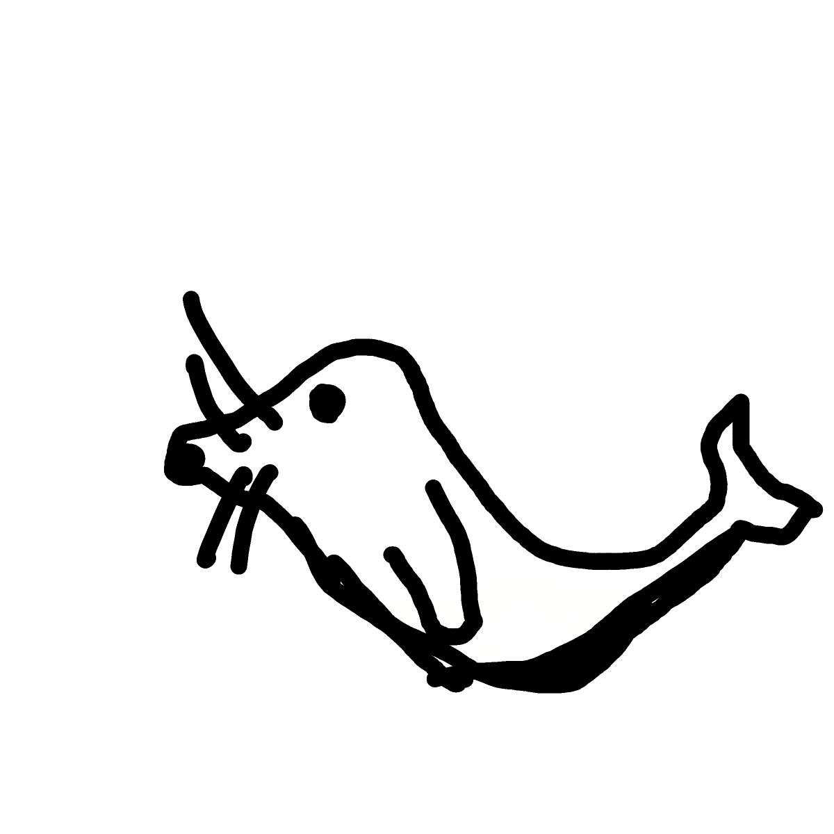 Seal drawing by Lee the Bee