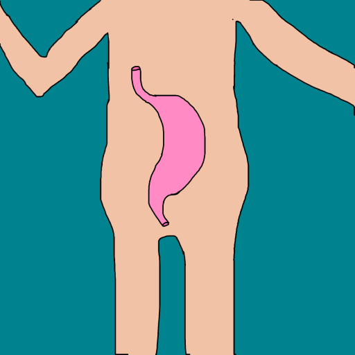 Stomach drawing by krissywissy