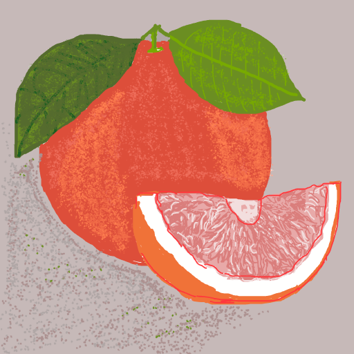 Grapefruit drawing by brass-alpha-grace