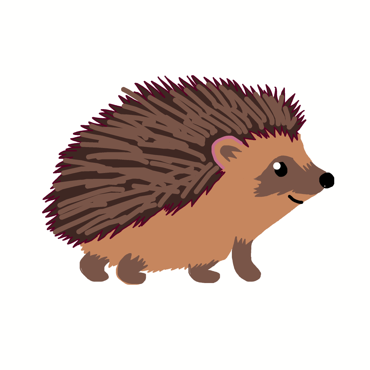 Hedgehog drawing by carla