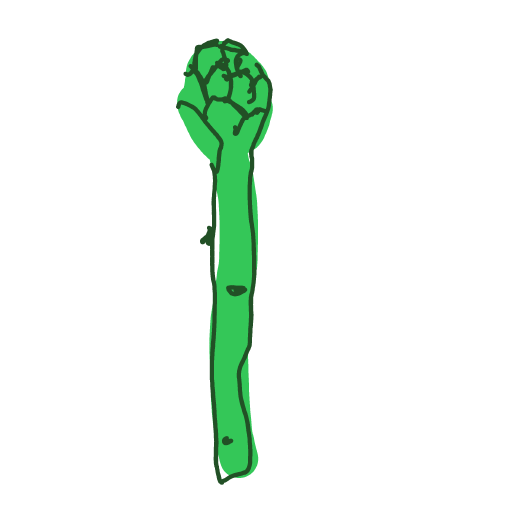 Asparagus drawing by Guardianoflives