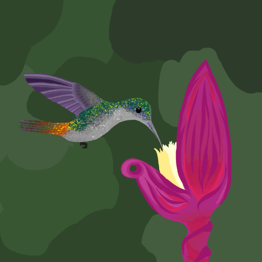 Hummingbird drawing by firecracker