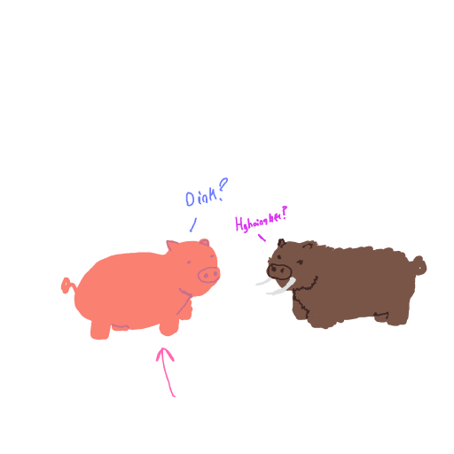 Pig drawing by godor