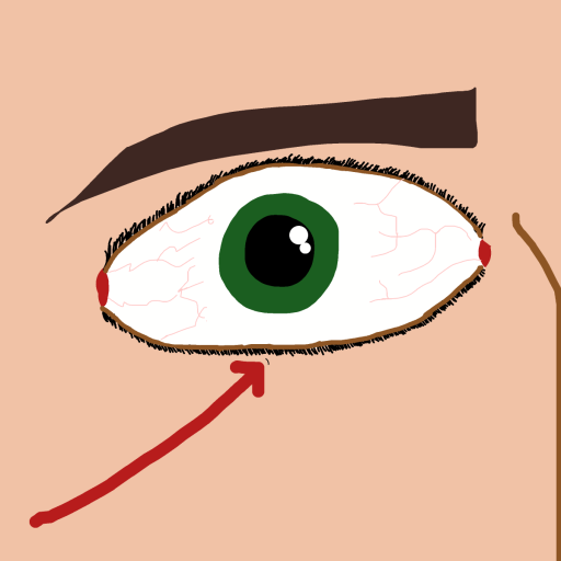 Eyelash drawing by jashezilla