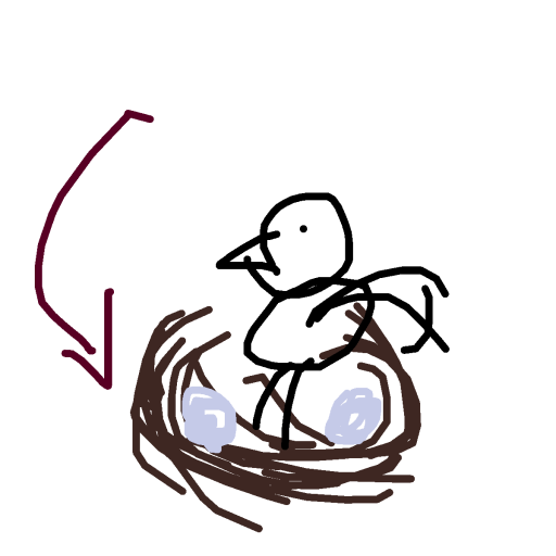 Nest drawing by maite