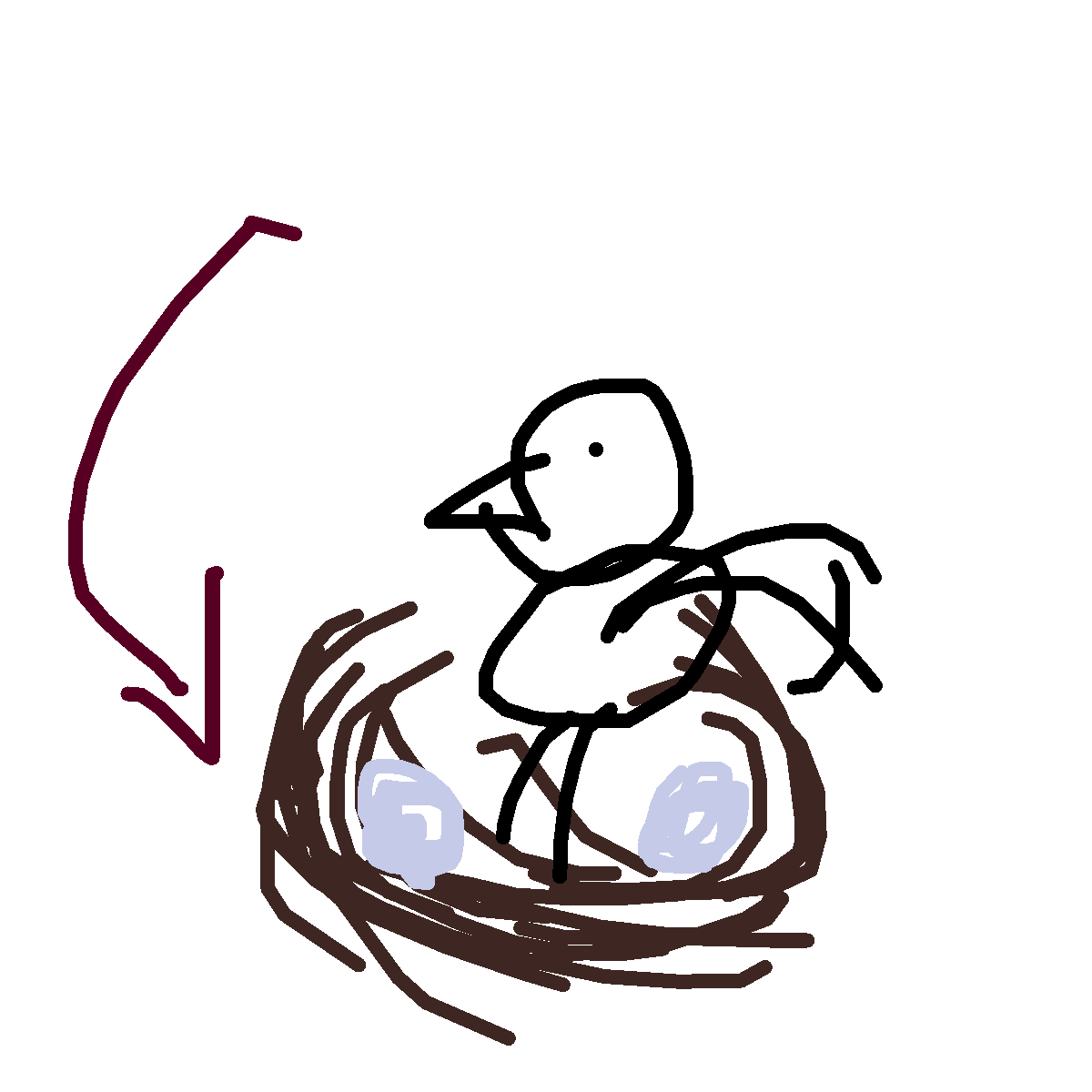 Nest drawing by maite