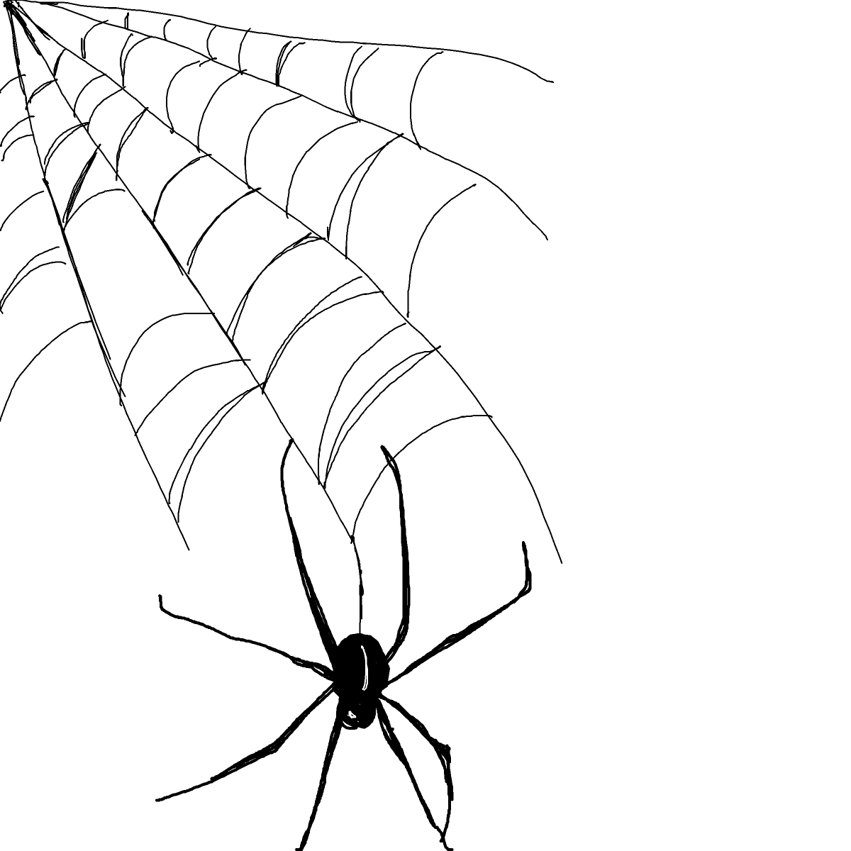 Spider Web drawing by nuchalant