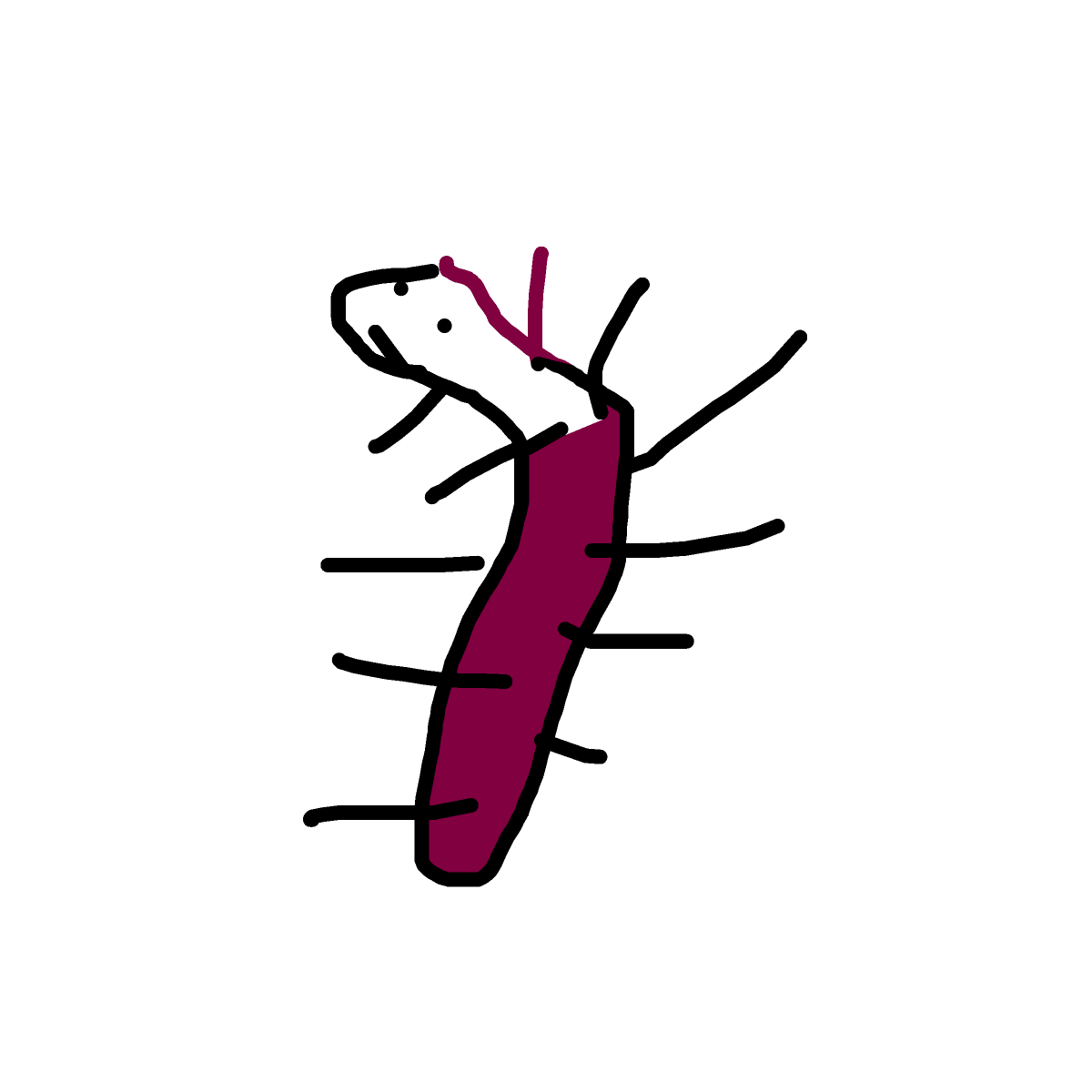 Centipede drawing by cooldogcuh
