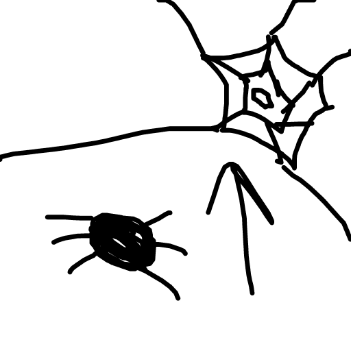 Spider Web drawing by paradutchman