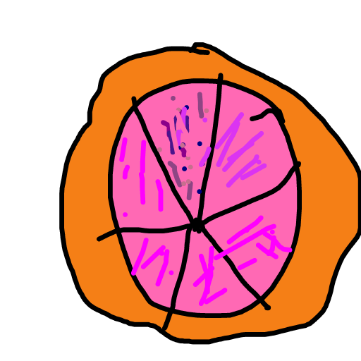 Grapefruit drawing by coral-sun-illustrator