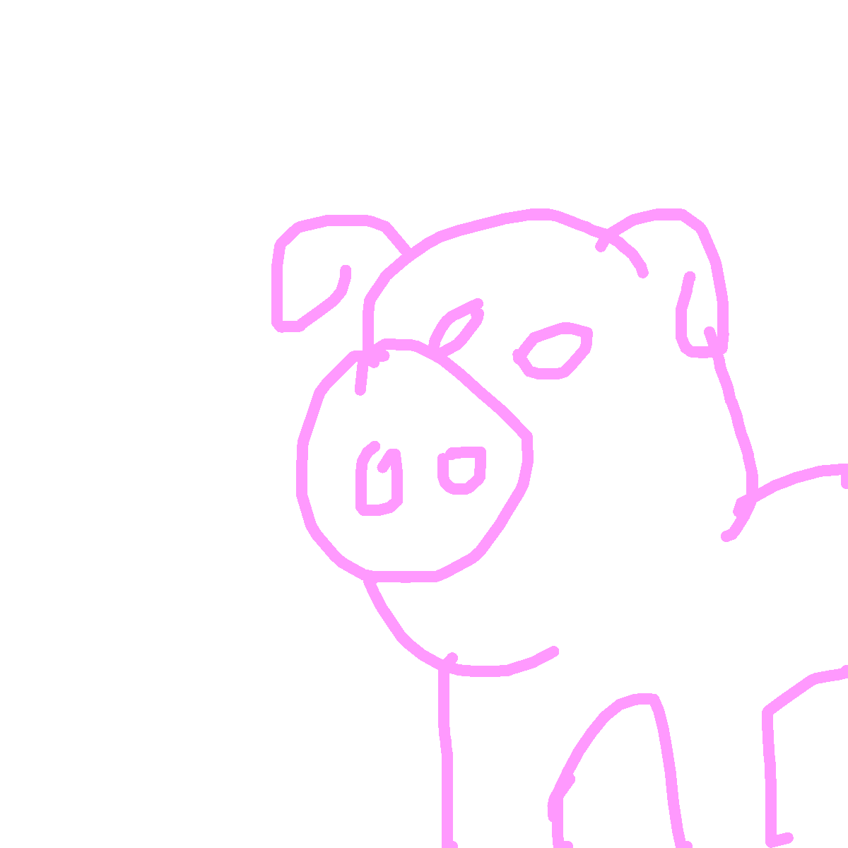 Pig drawing by fifi