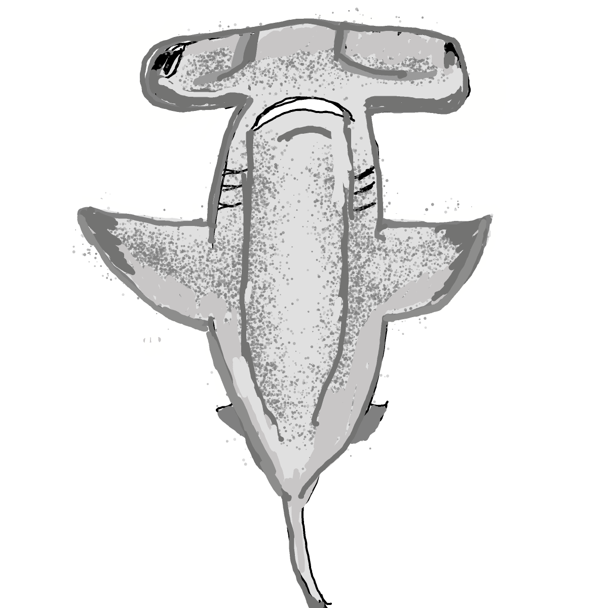 Hammerhead drawing by manders