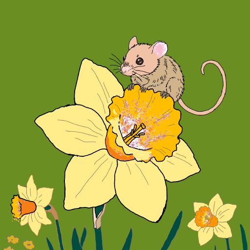 Daffodil drawing by Bridgitte