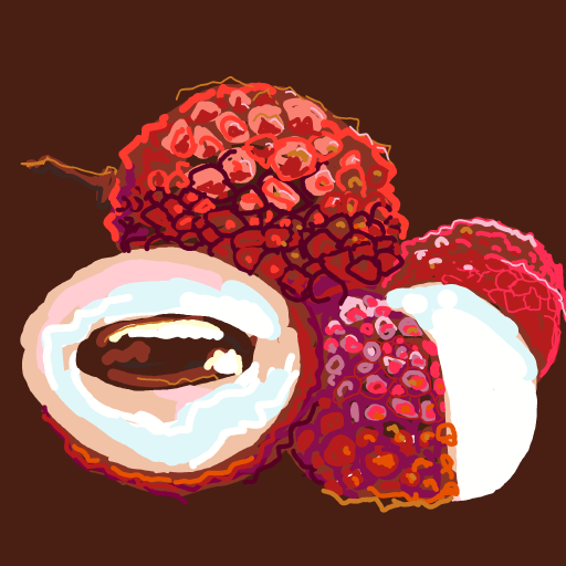 Lychee drawing by Soybean