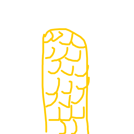 Corn drawing by bia