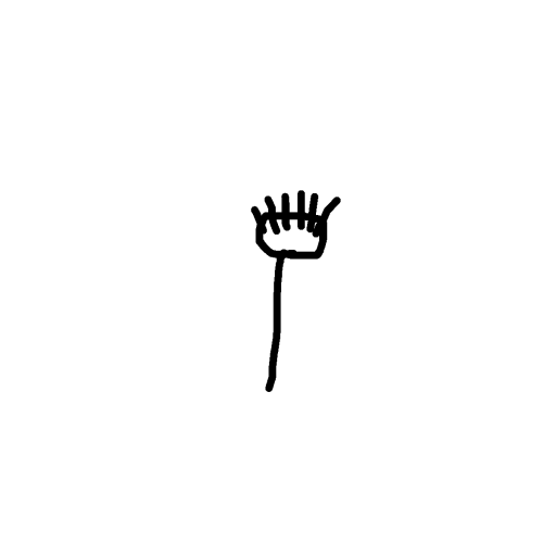 Broomstick drawing by nugget