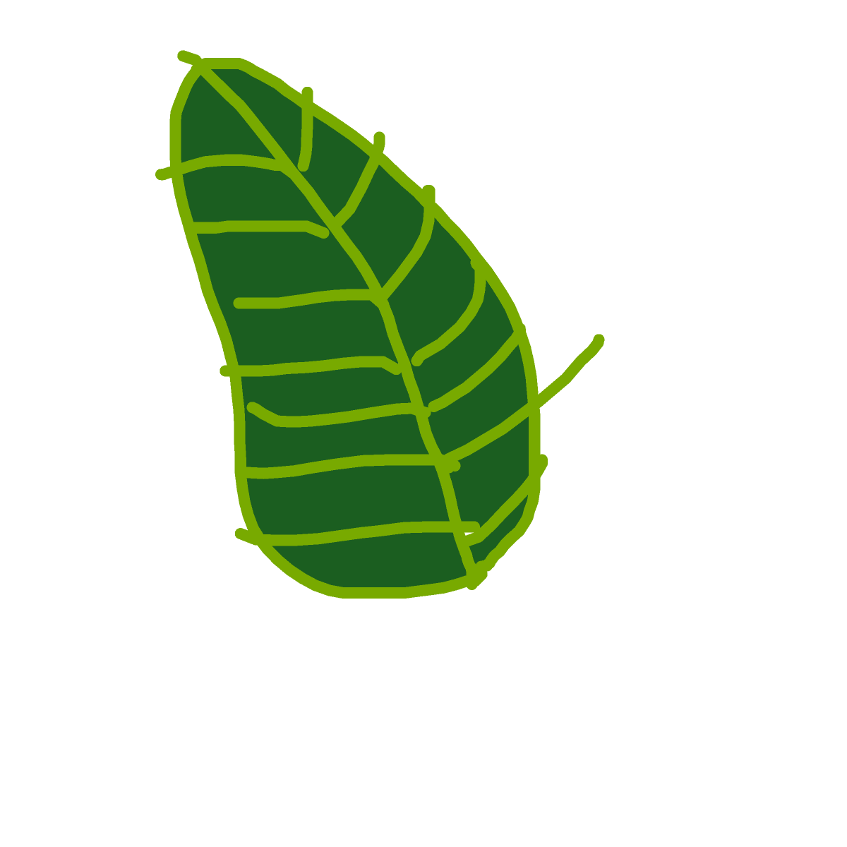 Leaf drawing by zuzabarto