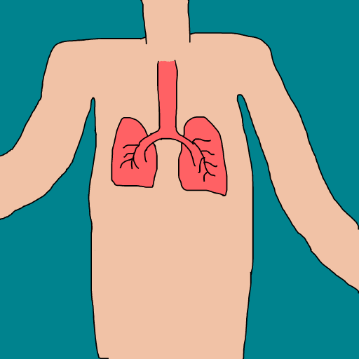 Lungs drawing by krissywissy