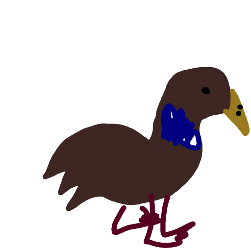 Duck drawing by Timmie