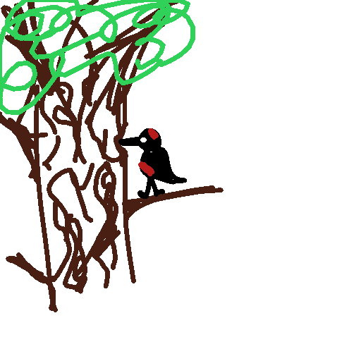 Woodpecker drawing by amber-graph-hammer