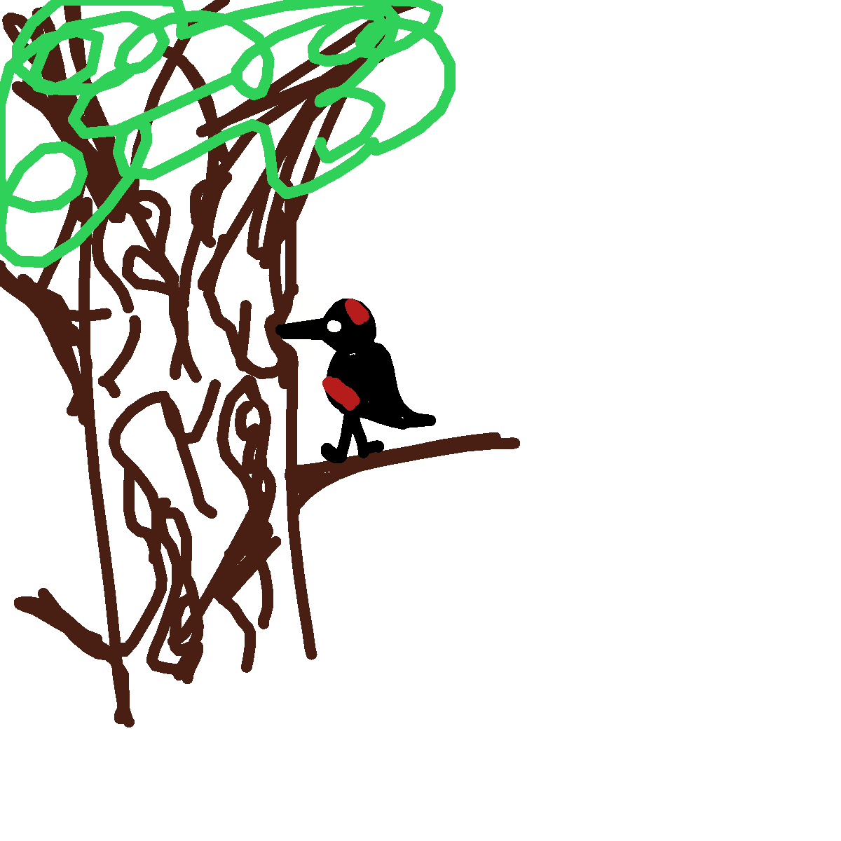Woodpecker drawing by amber-graph-hammer