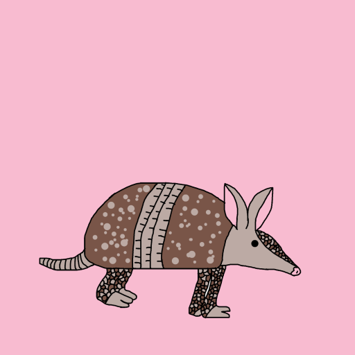 Armadillo drawing by krissywissy