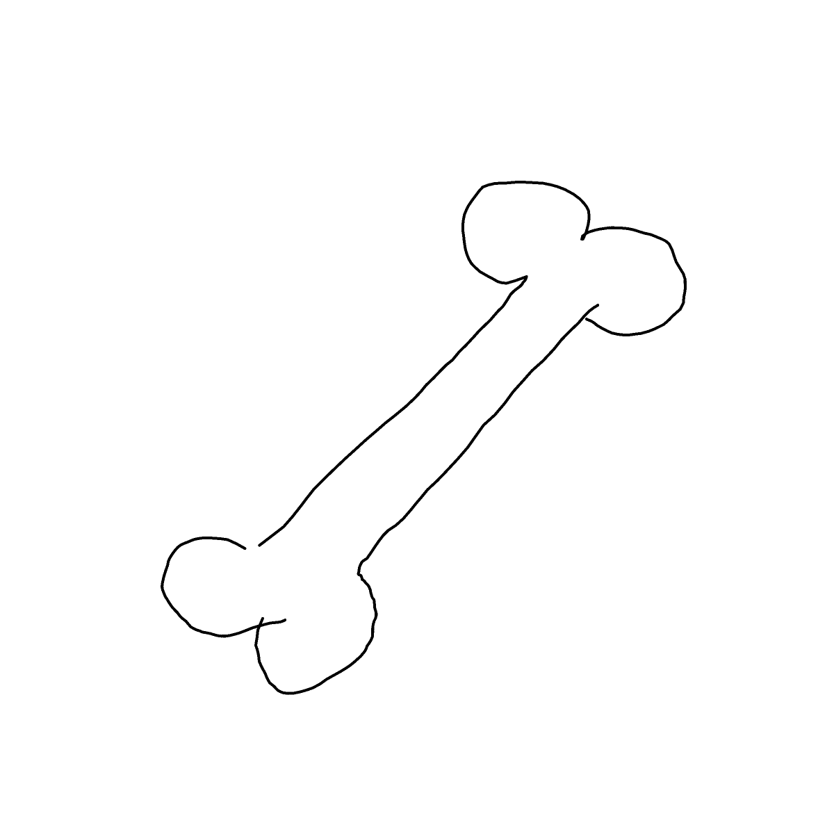 Bone drawing by Nuss
