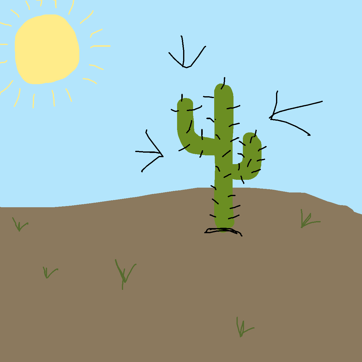 Cactus drawing by angel