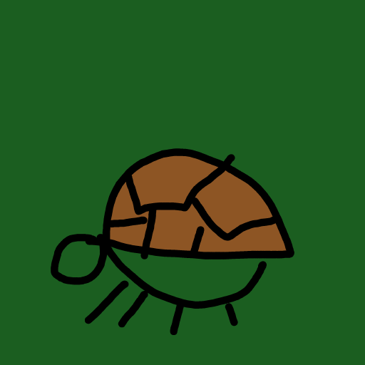 Turtle drawing by Timmie