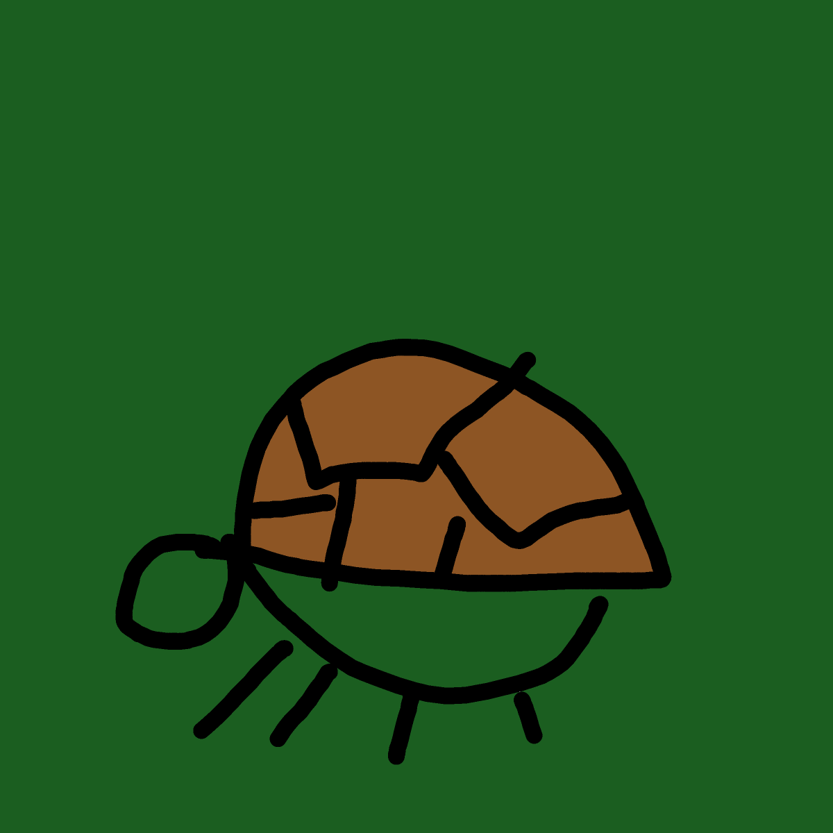 Turtle drawing by Timmie