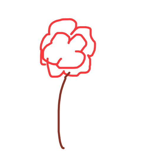 Rose drawing by bia