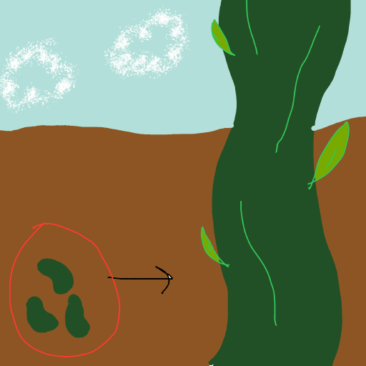 Magic Beans drawing by Shandi
