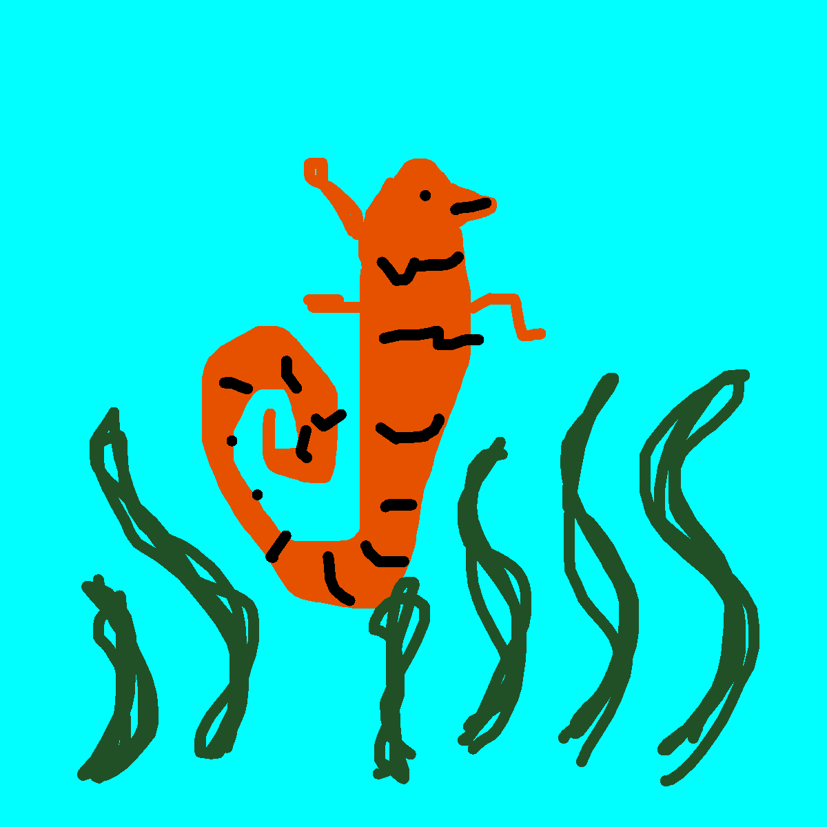 Seahorse drawing by pancakes palette
