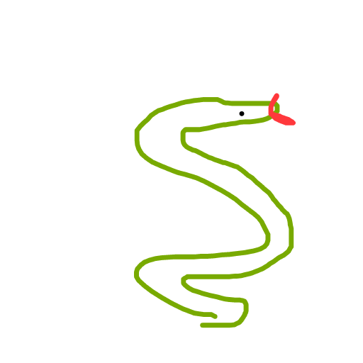 Snake drawing by rose
