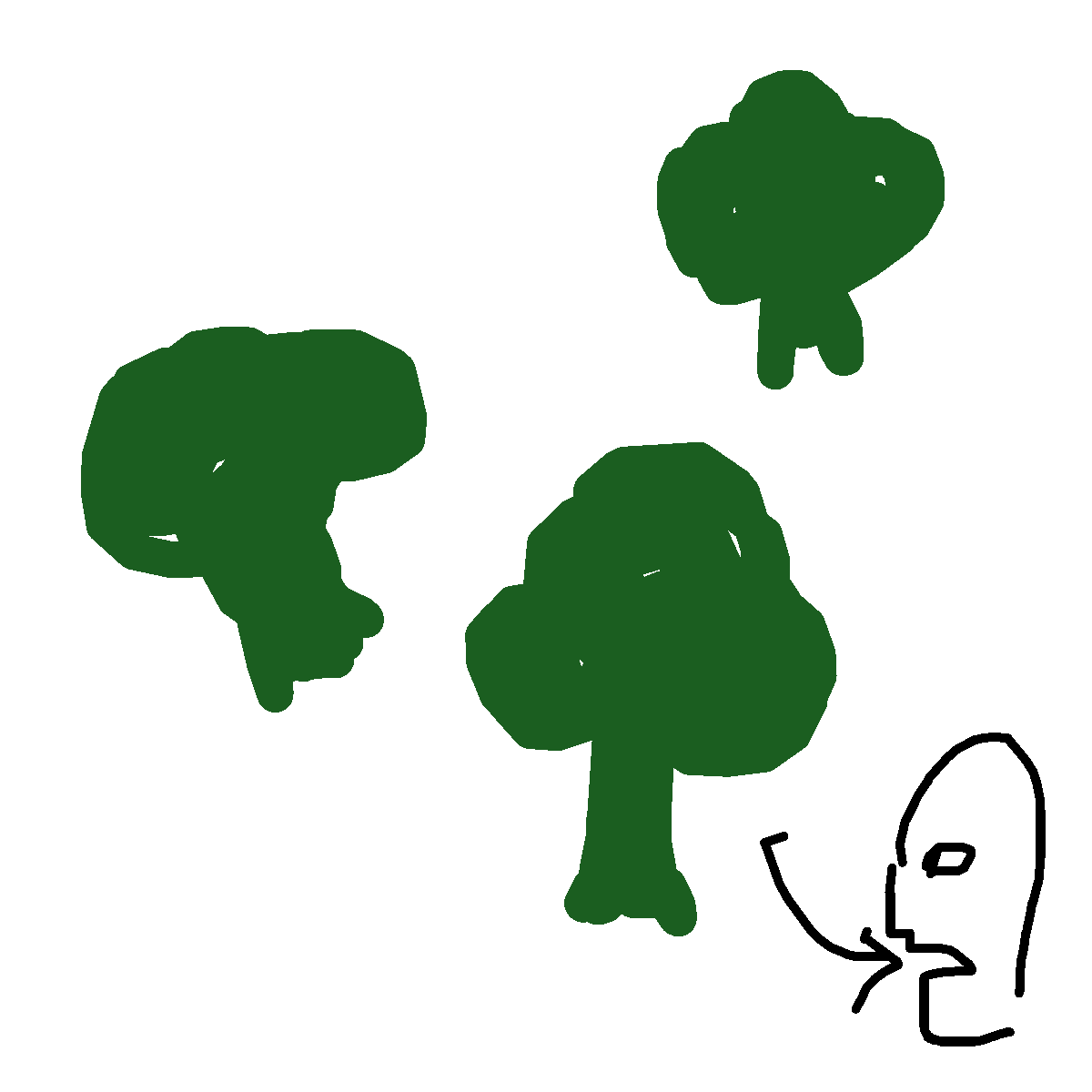 Broccoli drawing by fifi