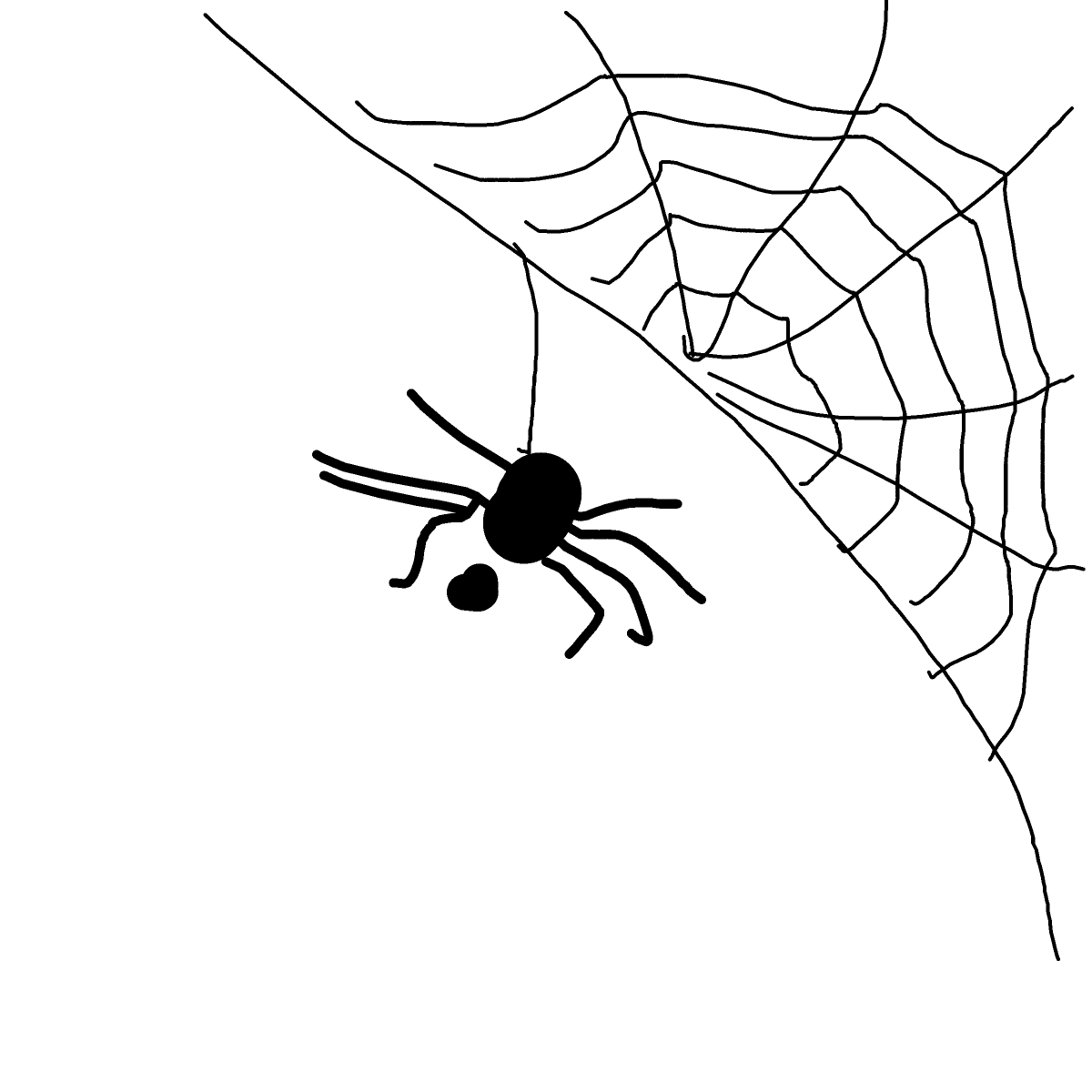 Spider drawing by mjolnirbear