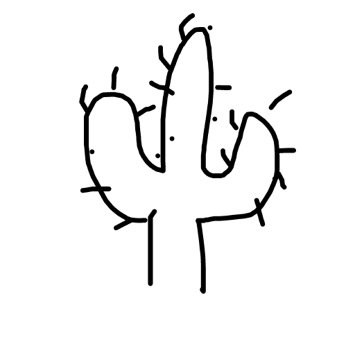 Cactus drawing by lili