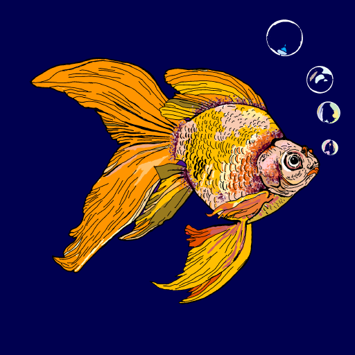 Goldfish drawing by Bridgitte