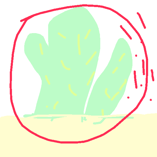 Cactus drawing by mi_feng_wang