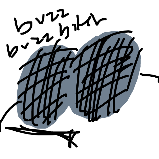 Fly drawing by beanieweenie