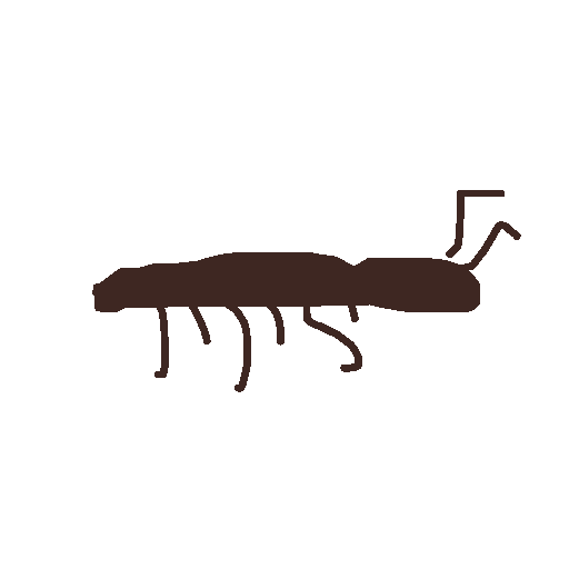 Ant drawing by grou