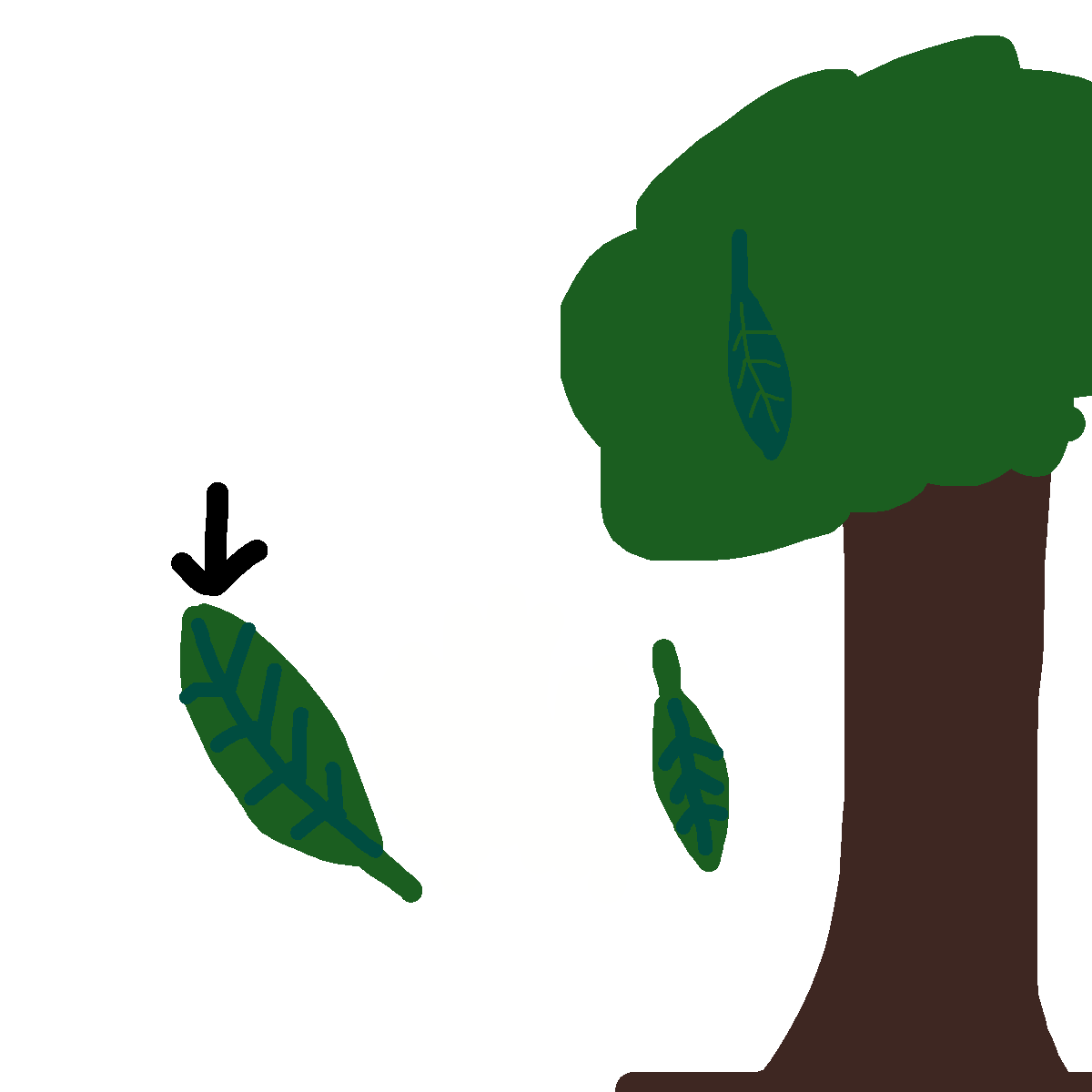 Leaf drawing by laliebug