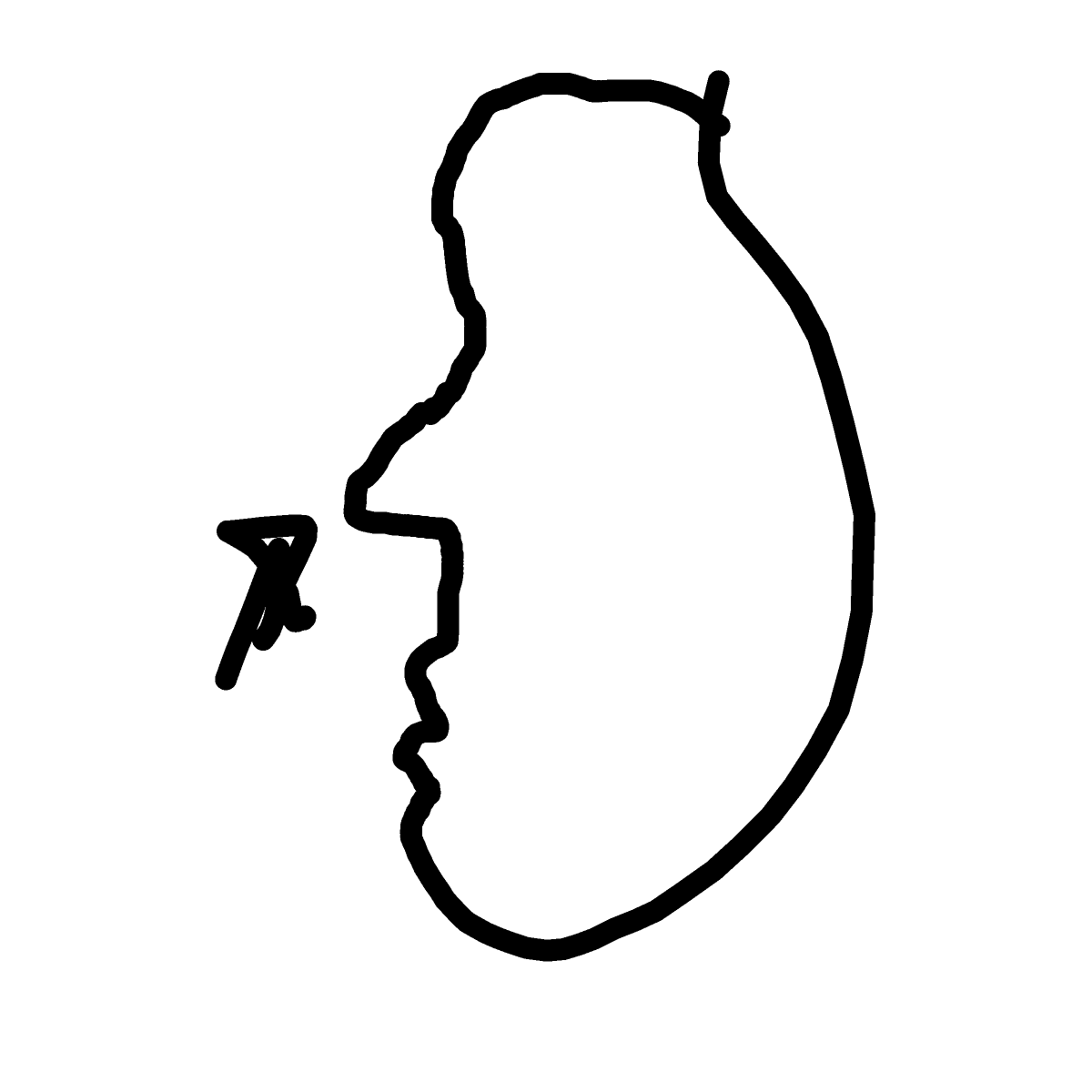 Nose drawing by Bri3