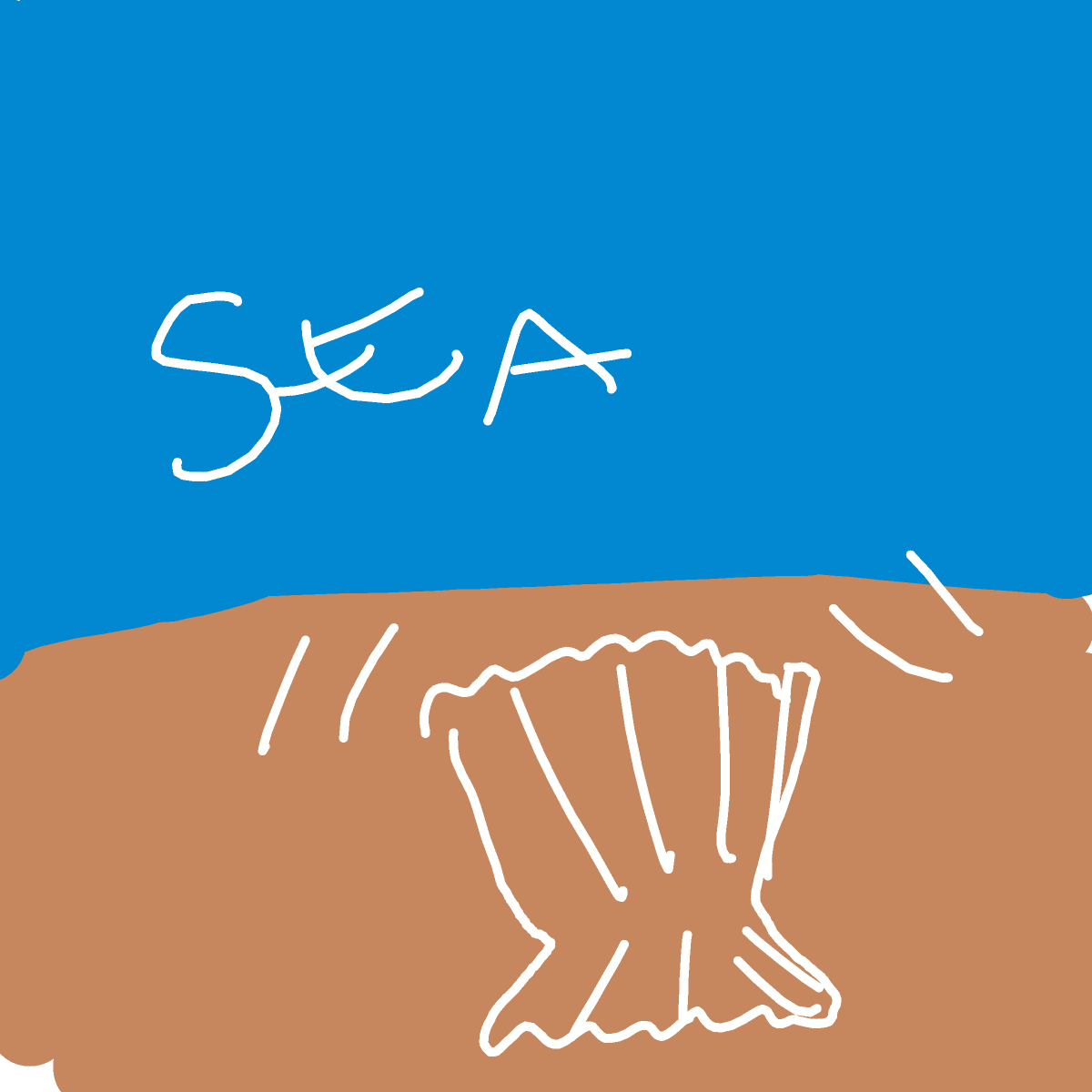 Seashell drawing by graph-bronze-soul