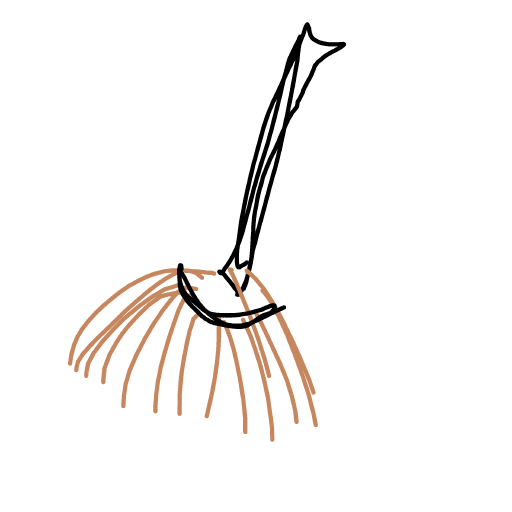 Broom drawing by Shew